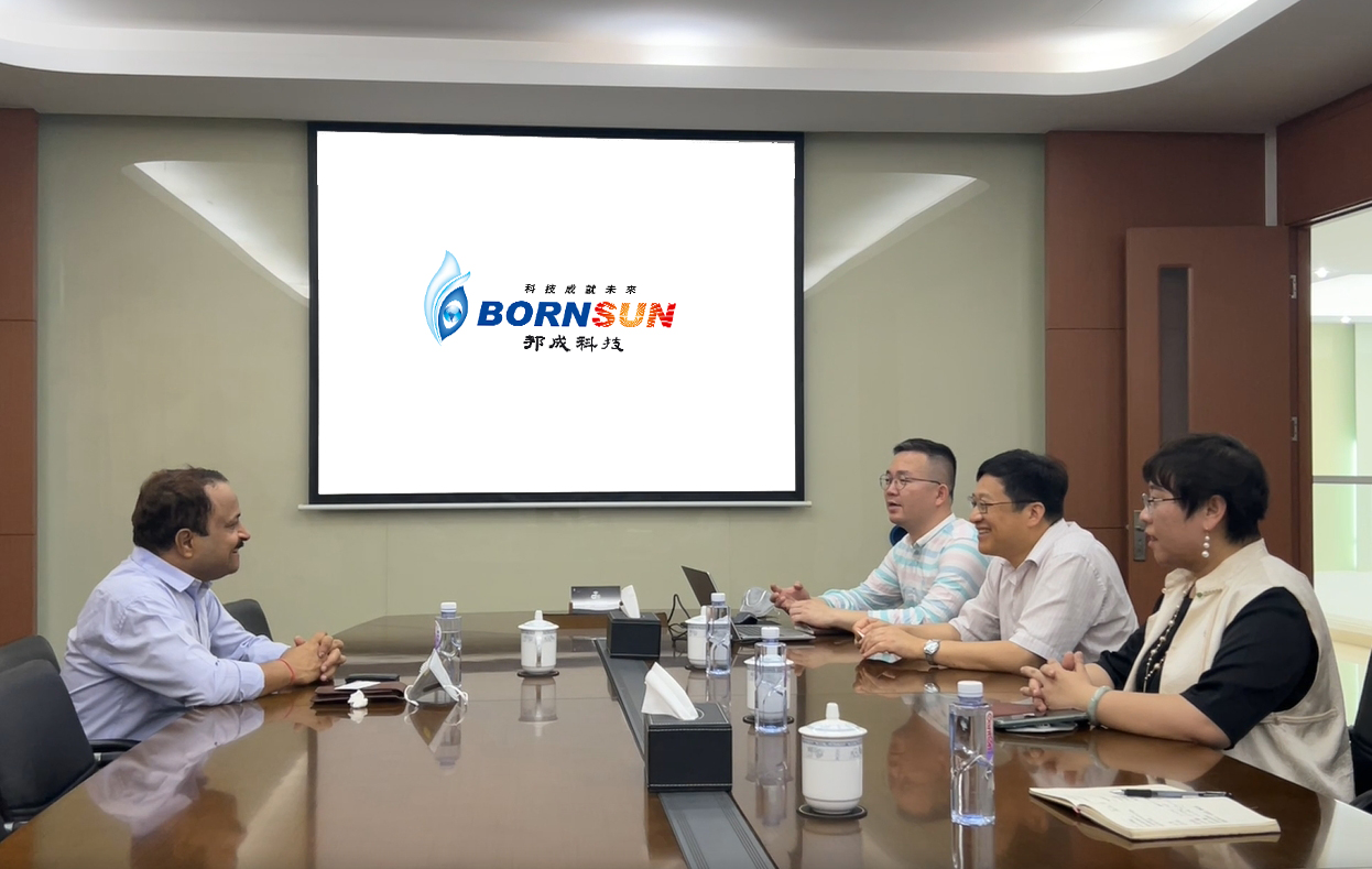 Indian customer visits BORNSUN for communication