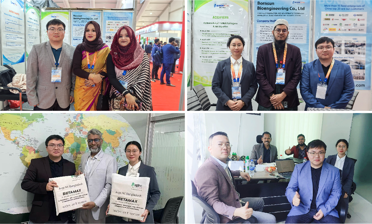 Shanghai Bornsun Shines at the 6th AHCAB International Expo in Bangladesh, Deepening International Cooperation